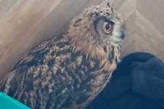 IMG-20240709-WA0006