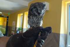 IMG-20240709-WA0017