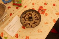 DSCN0523