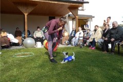 DSCN9085