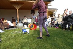 DSCN9087