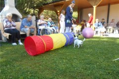 DSCN7249