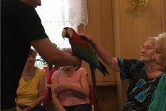 IMG_1533