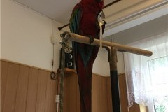 IMG_1560