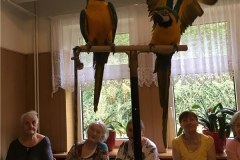 IMG_1593