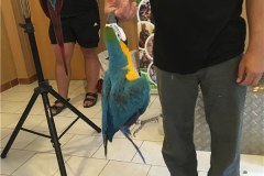 IMG_1597