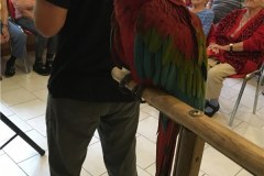 IMG_1616