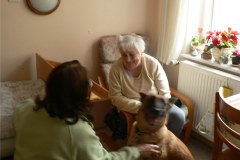P1060774