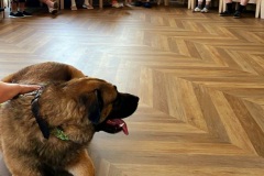 IMG-20250818-WA0017