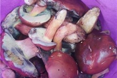 IMG-20230817-WA0002