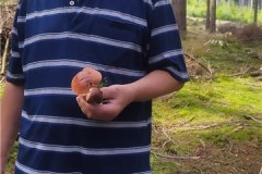 IMG-20230817-WA0004