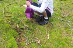 IMG-20230817-WA0007