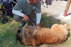 IMG-20230614-WA0001