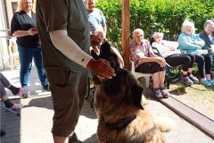 IMG-20230614-WA0008