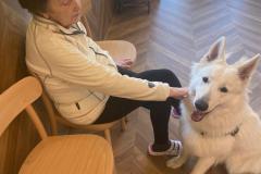 IMG-20240607-WA0033