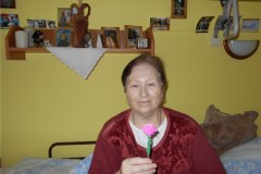 DSCN6286