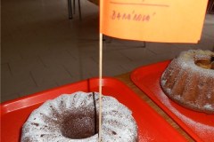 DSCN6603