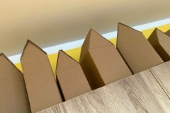 IMG-20250218-WA0002