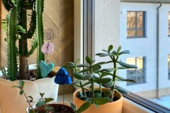 IMG-20250218-WA0030