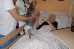 DSCN4431