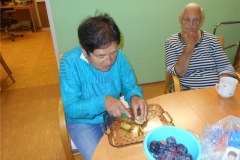 DSCN7369