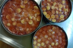 IMG-20240223-WA0017