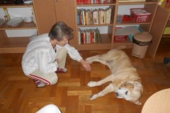 DSCN0337