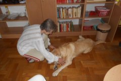 DSCN0338
