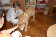 DSCN0339