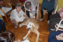 DSCN0344
