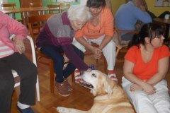 DSCN0345