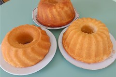 IMG-20230310-WA0005