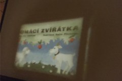 IMG-20230202-WA0005