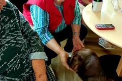 IMG-20250731-WA0024