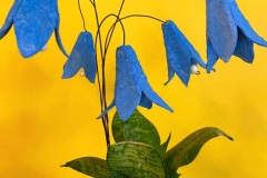 IMG-20250404-WA0017