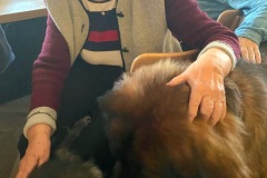 IMG-20250404-WA0027