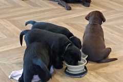 IMG-20241106-WA0024