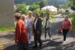 Rostou a ne že ne. 2.7.2020 [590]