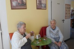 DSCN5072