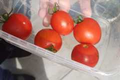 IMG-20240809-WA0003