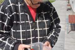 IMG-20240809-WA0005