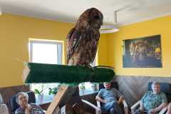 IMG-20240816-WA0018