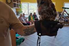 IMG-20240816-WA0019
