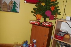 DSCN5743