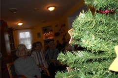 DSCN5744