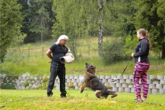 DSCN3548