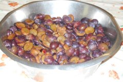 DSCN1483