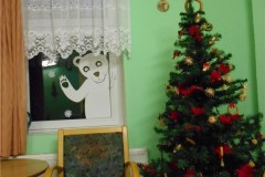 DSCN5520