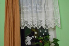 DSCN5521
