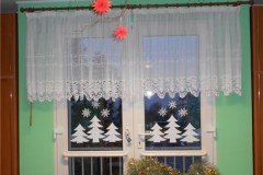 DSCN5548
